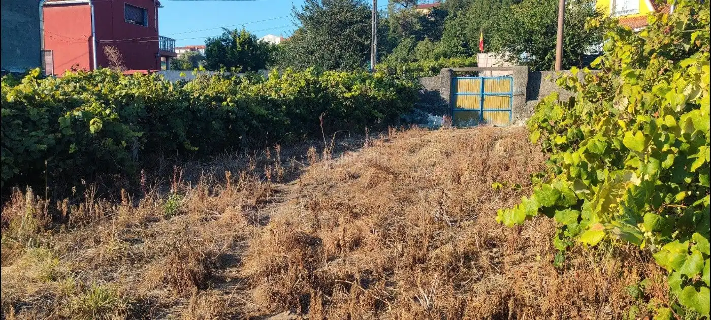 Terreno rustico in vendita a Poblado Carregal 9, imagen 14