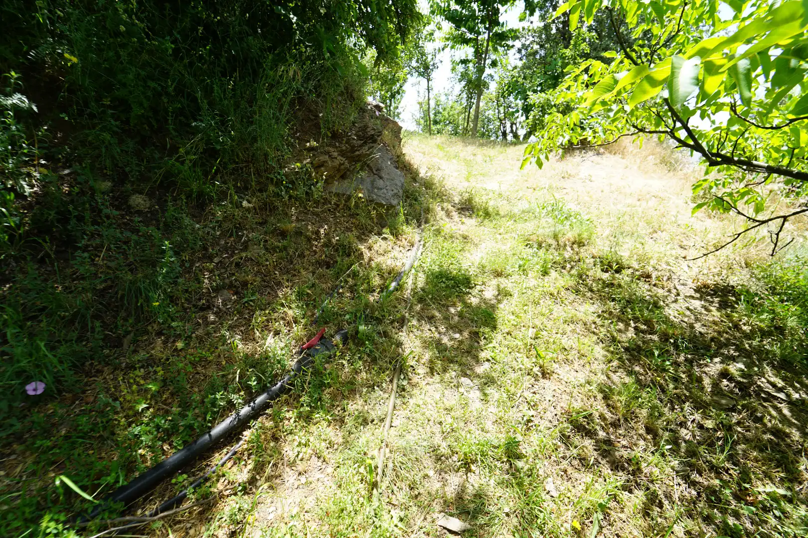 Finca rústica en venda en La Taha amb Terrassa i Moblat