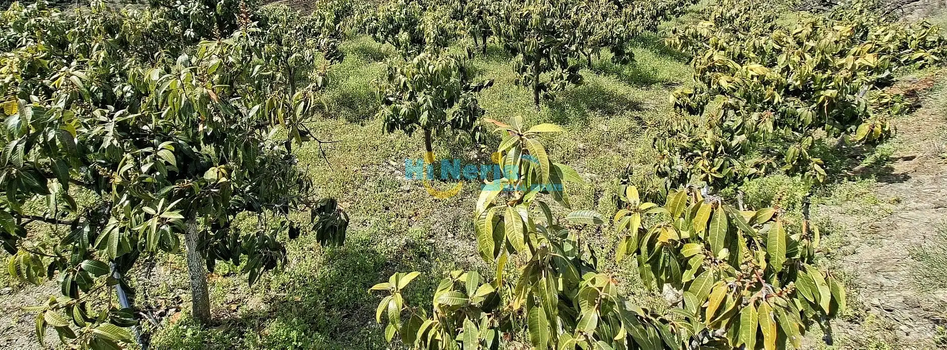 Casa en venta en Vélez-Málaga ciudad, imagen 29