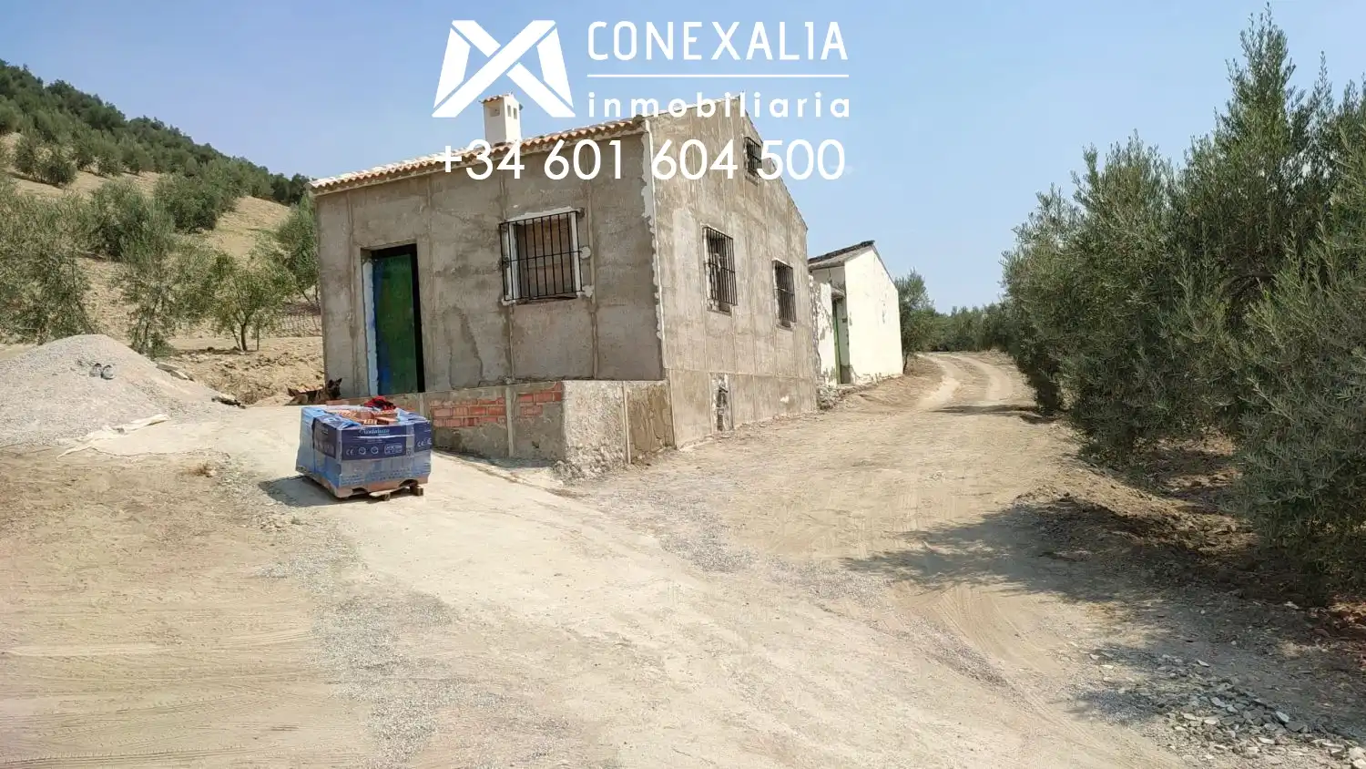 Exterior view of Country homes for sale in Alcalá del Valle