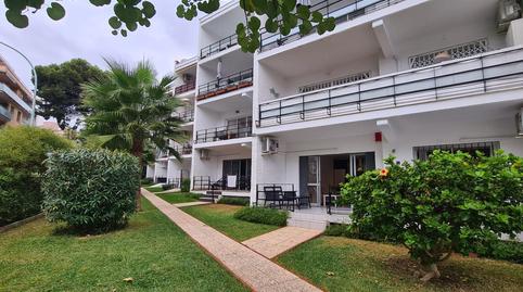 Foto 2 de Planta baja en venta en Arroyo de la Miel, Málaga