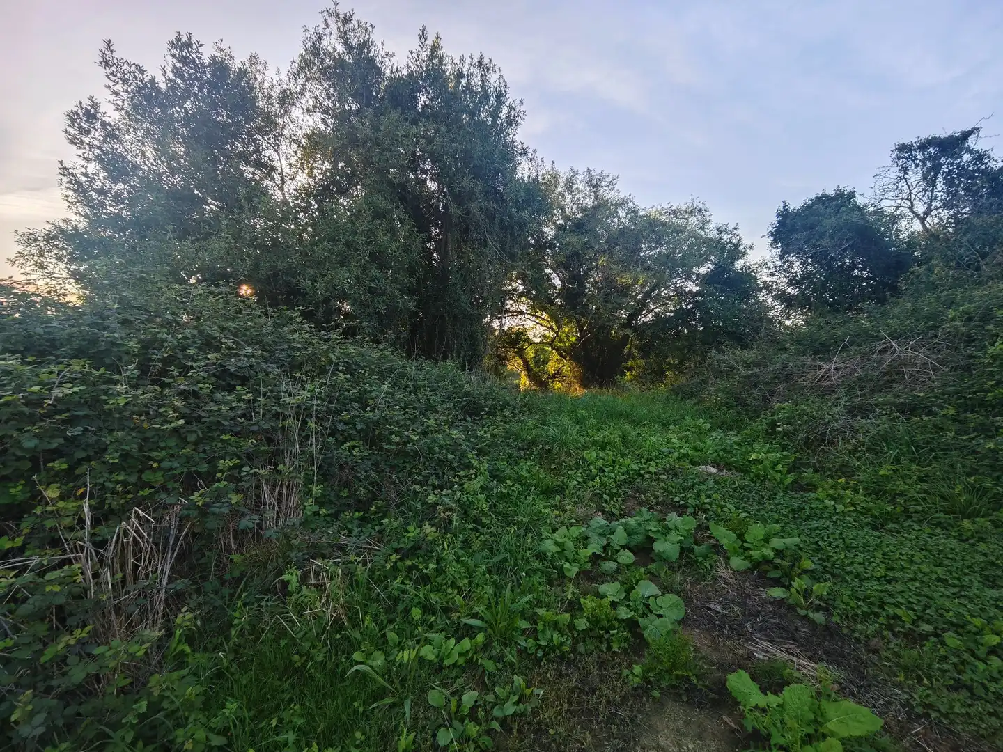 Terreno rústico en venta en Pría - Nueva-Hontoria - Naves, imagen 20
