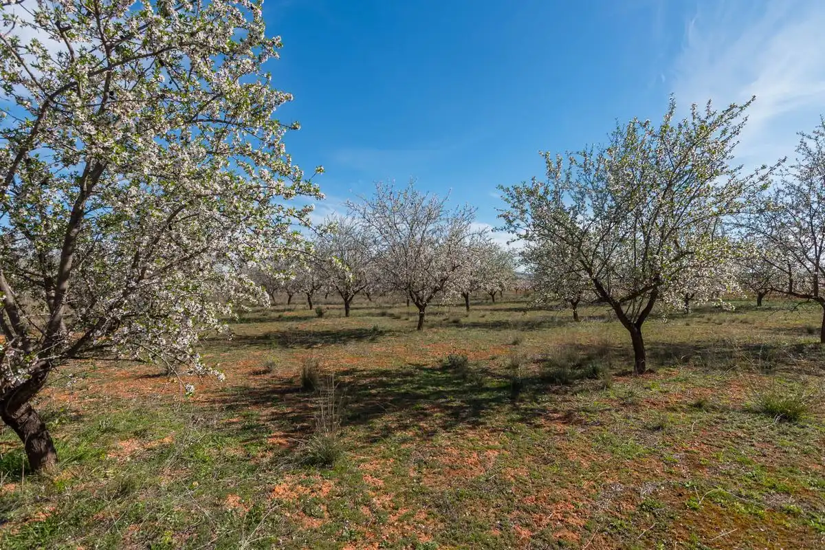 Casa rústica amb jardí en venda a ARDAL. MULA (Murcia), imagen 41