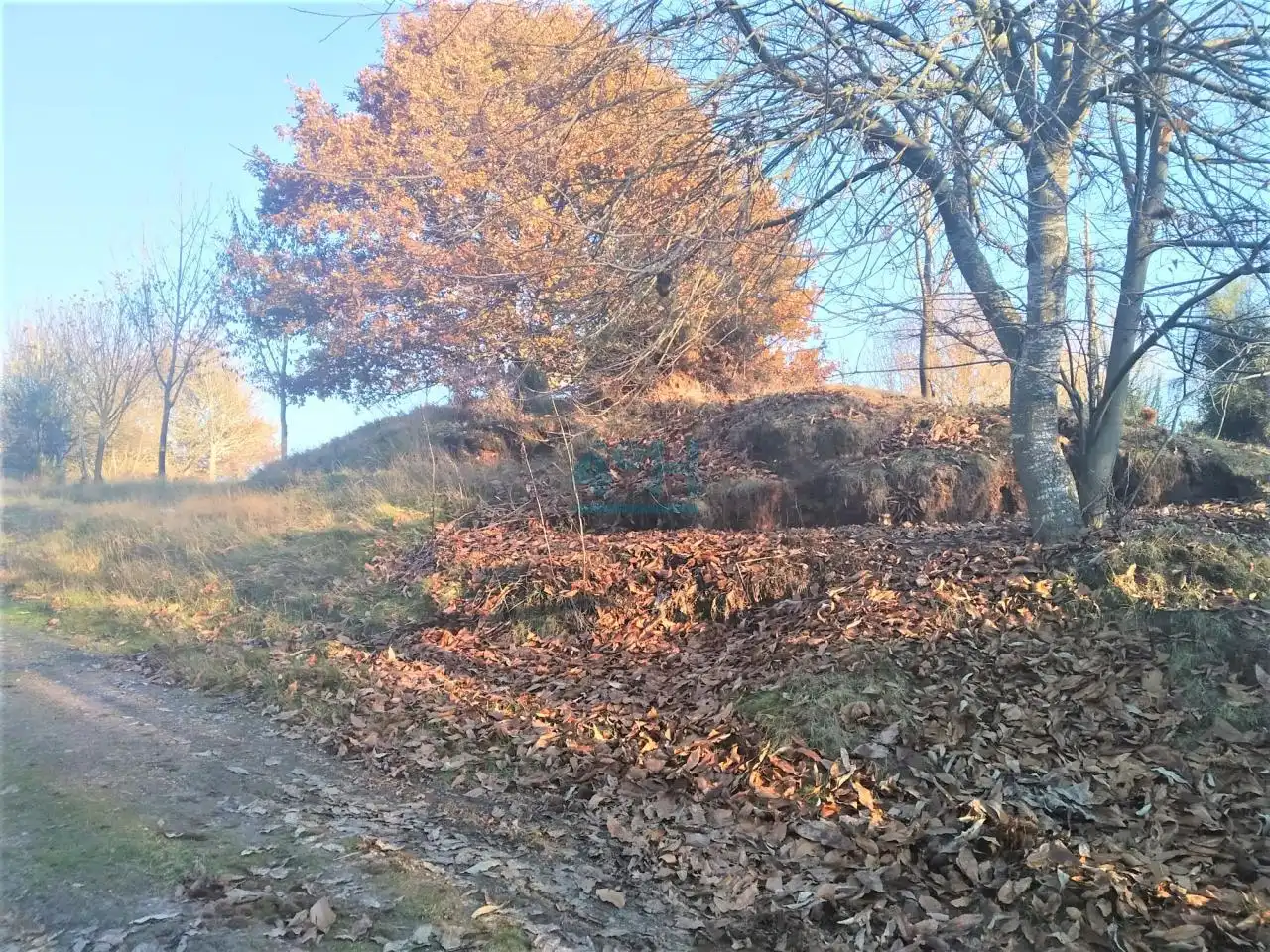 Terreni e lotti in vendita a San Cibrao das Viñas, imagen 3