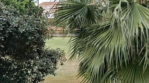 Photo 5 of Planta baja for sale in Carrer Escultor José Gutierrez, Alicante Golf, Alicante