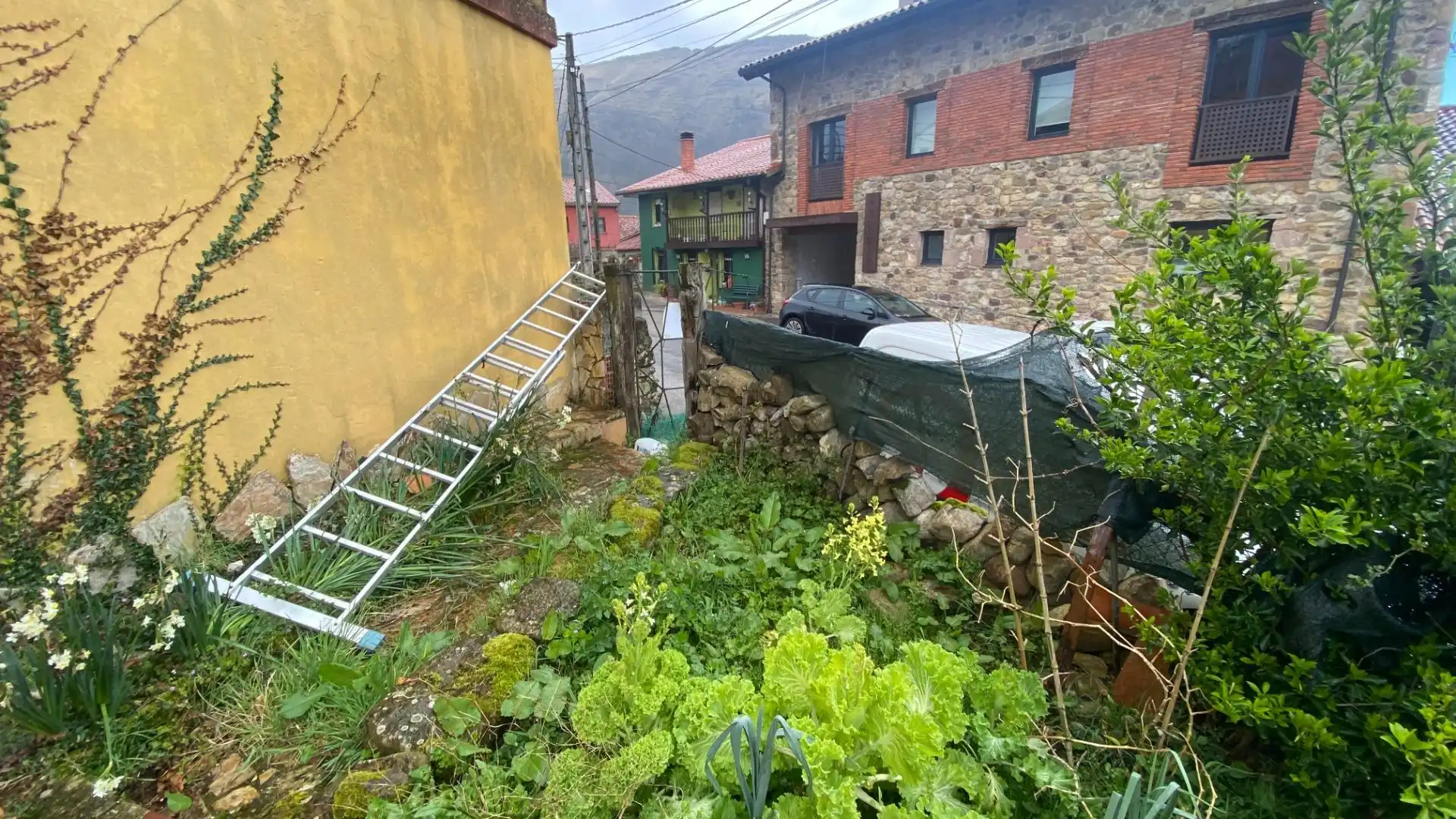 Planta baja en venta en Ruente