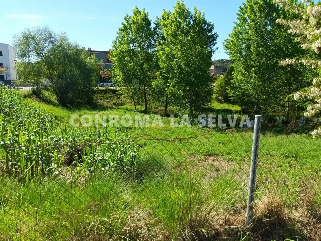 Terreny residencial en venda a Tordera pueblo, imagen 2