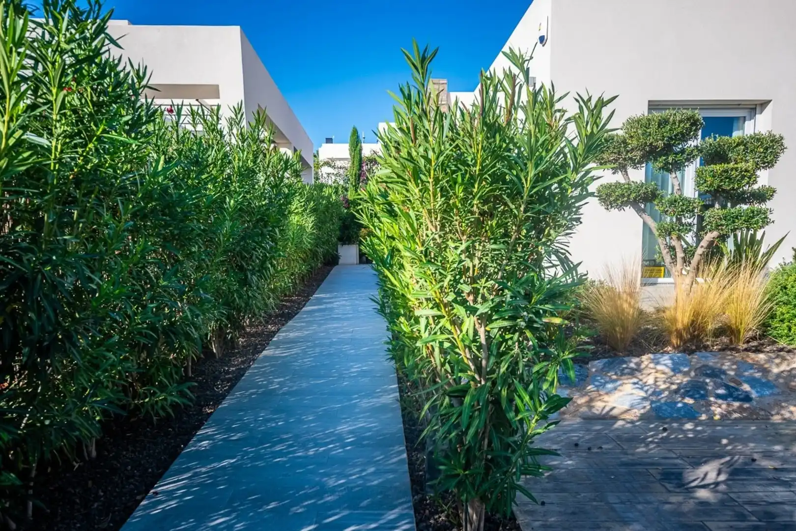 House with terrace for sale in Algorfa, imagen 42