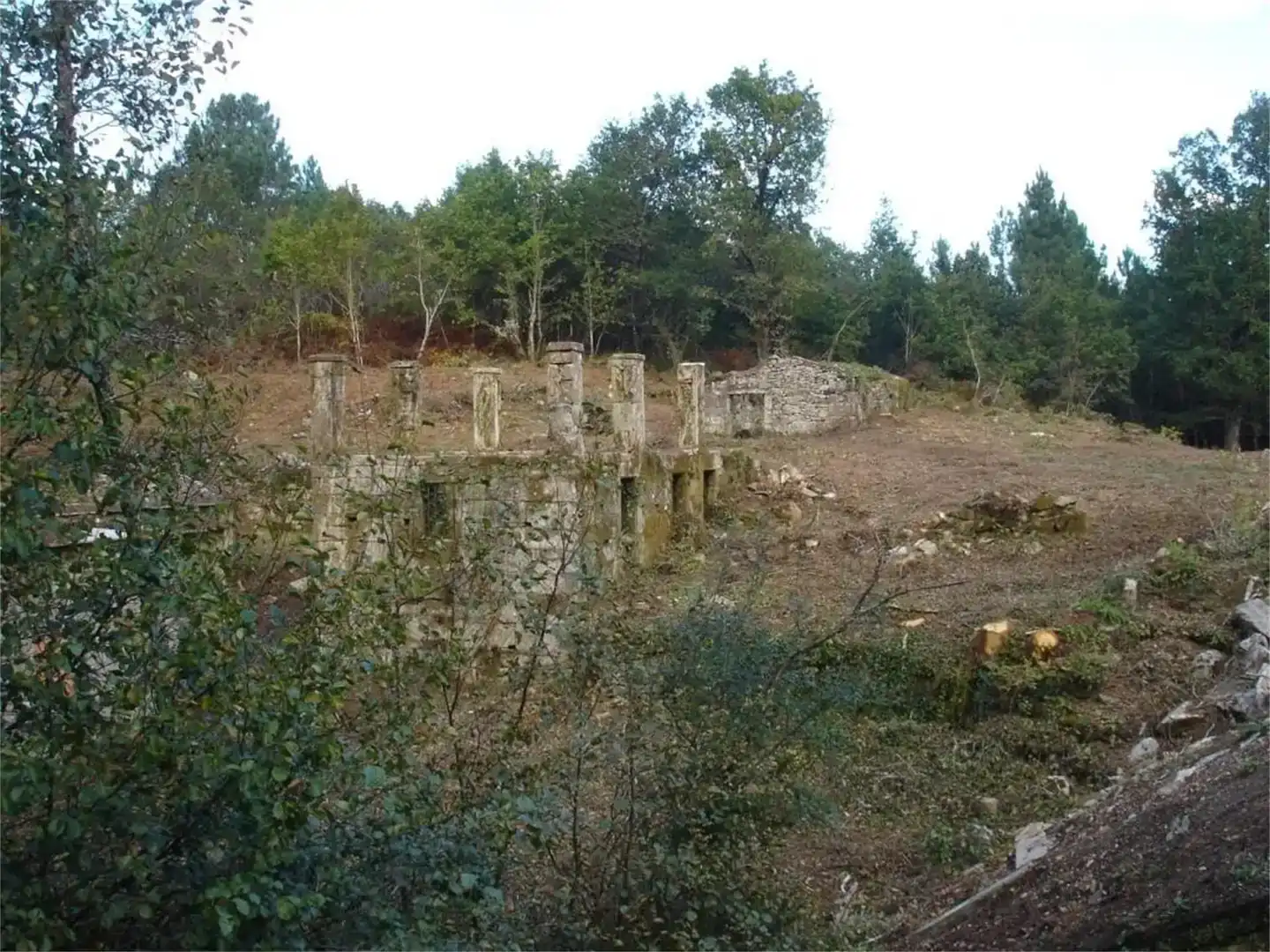 Finca rústica en venda en Boborás
