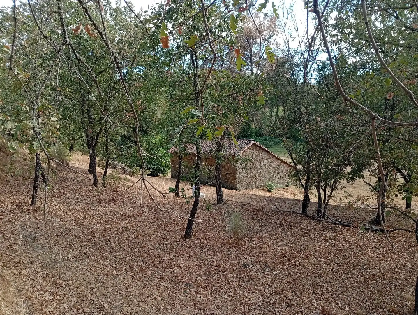 Terreni e lotti in vendita a Villanueva de la Vera, imagen 25
