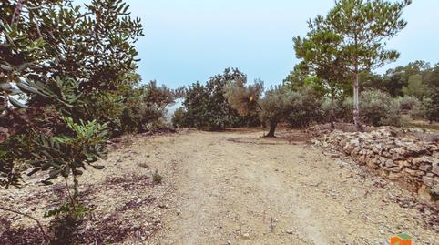 Foto 3 de Finca rústica en venda a Urbanitzacions, Tarragona
