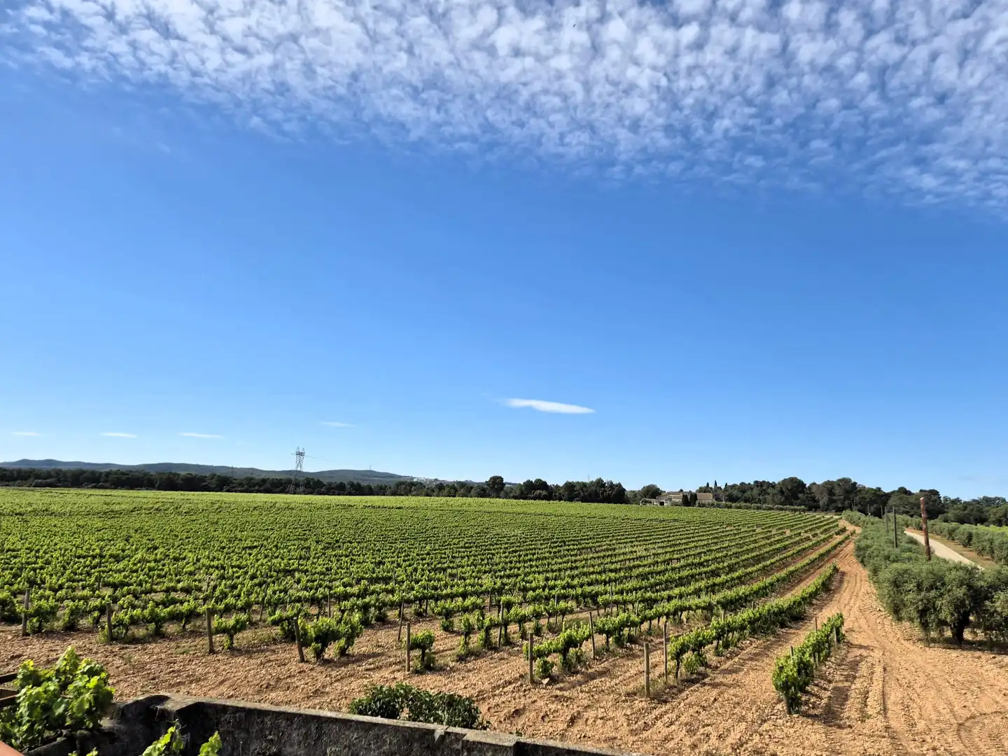 Vista exterior de Finca rústica en venta en Castellet i la Gornal