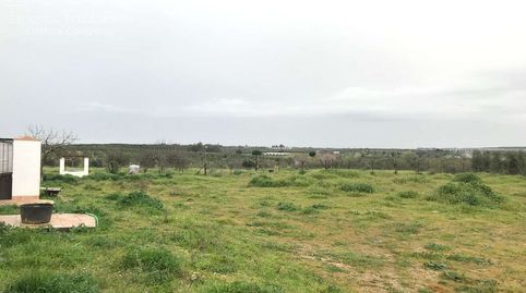 Foto 5 de Finca rústica en venda a Almonte ciudad, Almonte