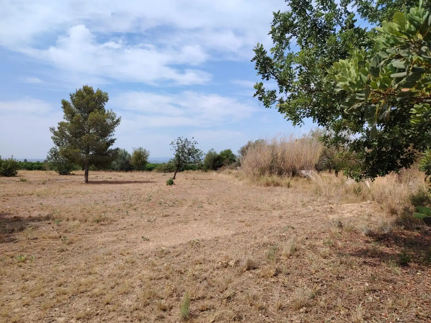 Terrain rustique à vendre à Urbanizaciones, imagen 3