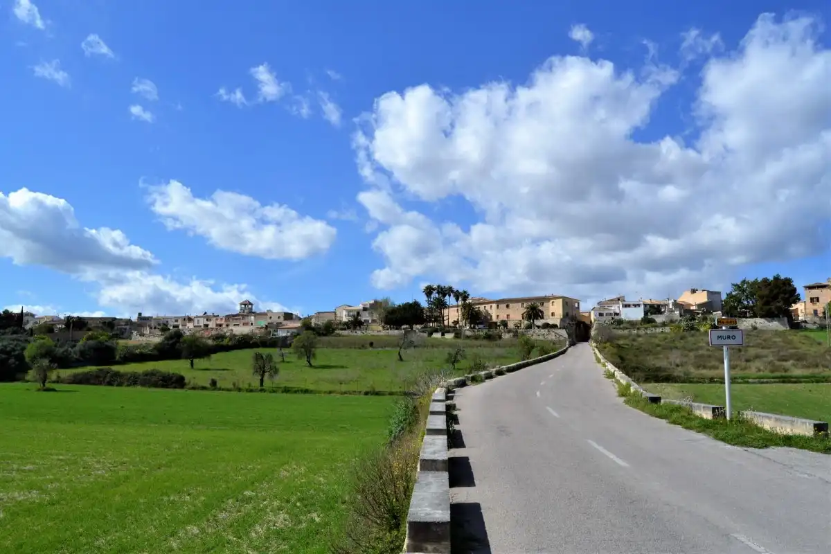Rural land for sale in Muro, imagen 15