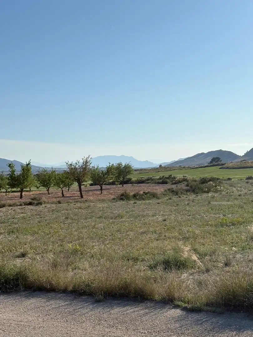Country house for sale in Jumilla, imagen 50