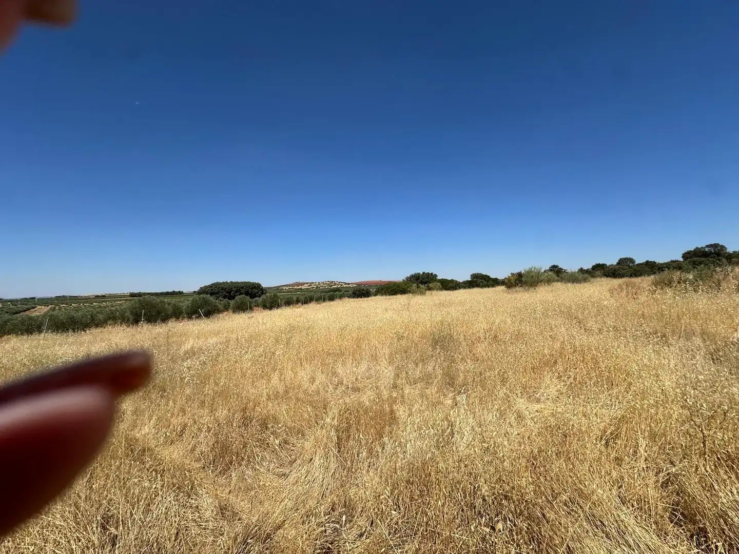 Rural land for sale in Carretera Valdepeñas-Ciudad Real, imagen 94