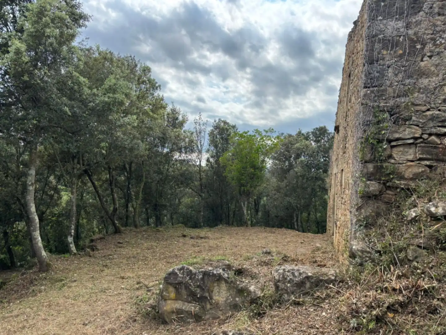 Finca rústica en venta en Palol de Revardit