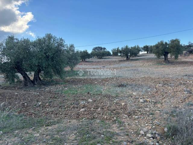 Terreno en Venta en Centro