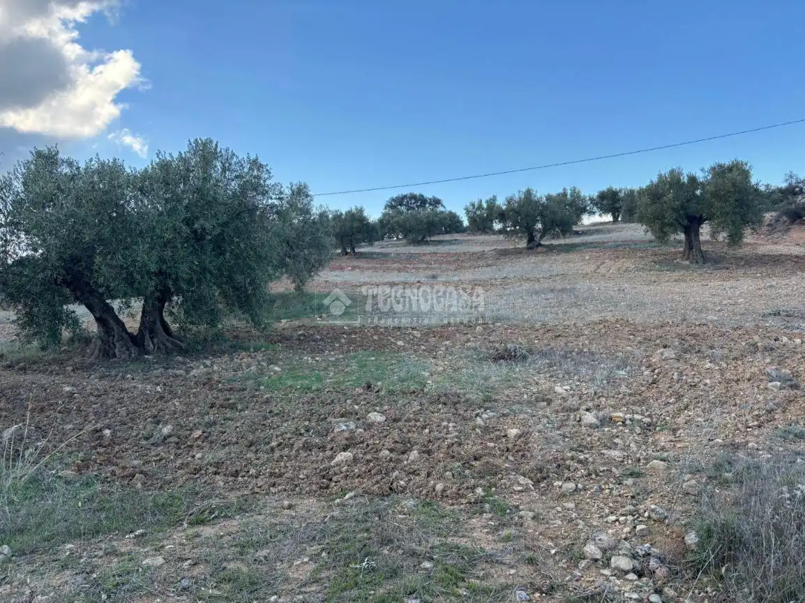 Terreni e lotti in vendita a Centro