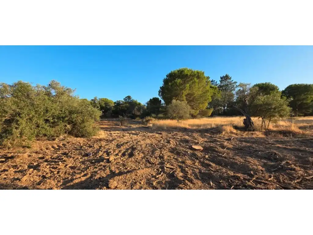 Terreni e lotti in vendita a Villablanca, imagen 8