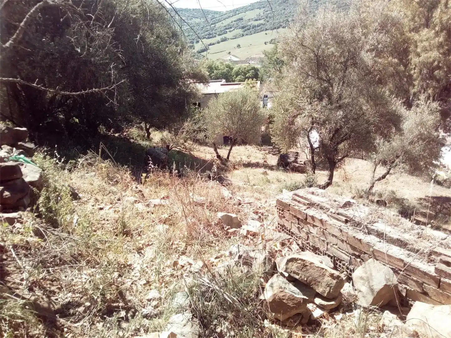 Casa o xalet en venda en Cortes de la Frontera amb Jardí privat i Traster