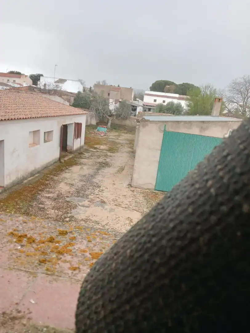 Chalet con terraza en venta en Calle Lentiscar, imagen 34