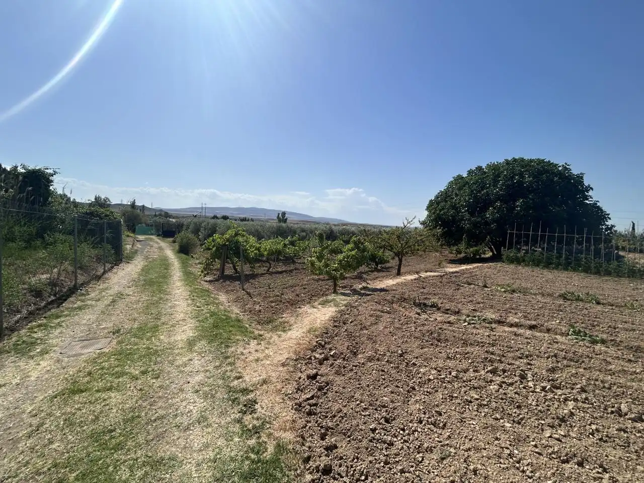 Country homes for sale in Corella  with Private garden, Terrace and Storage room