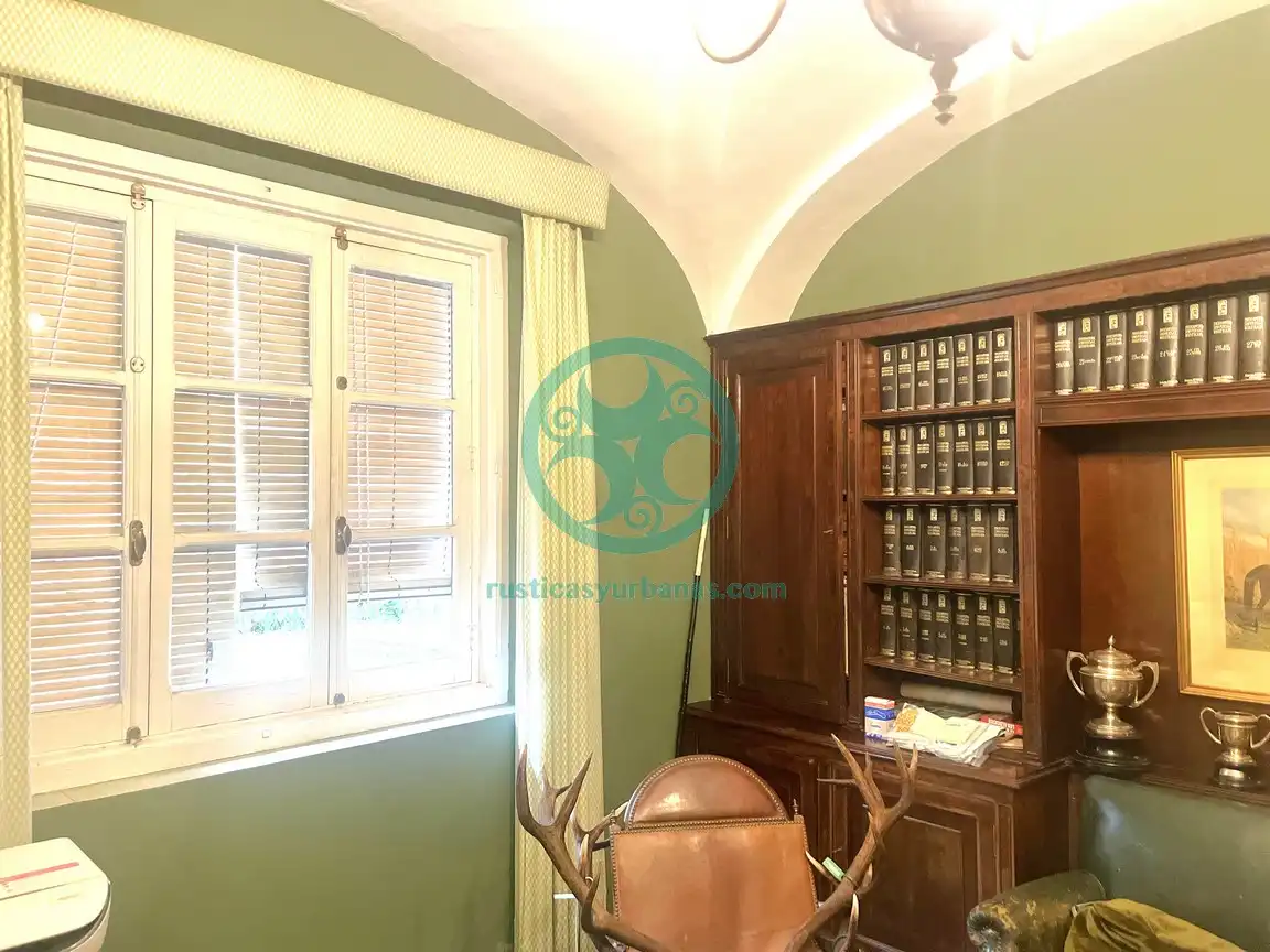 House with terrace for sale in Calle Tintoreros, imagen 8