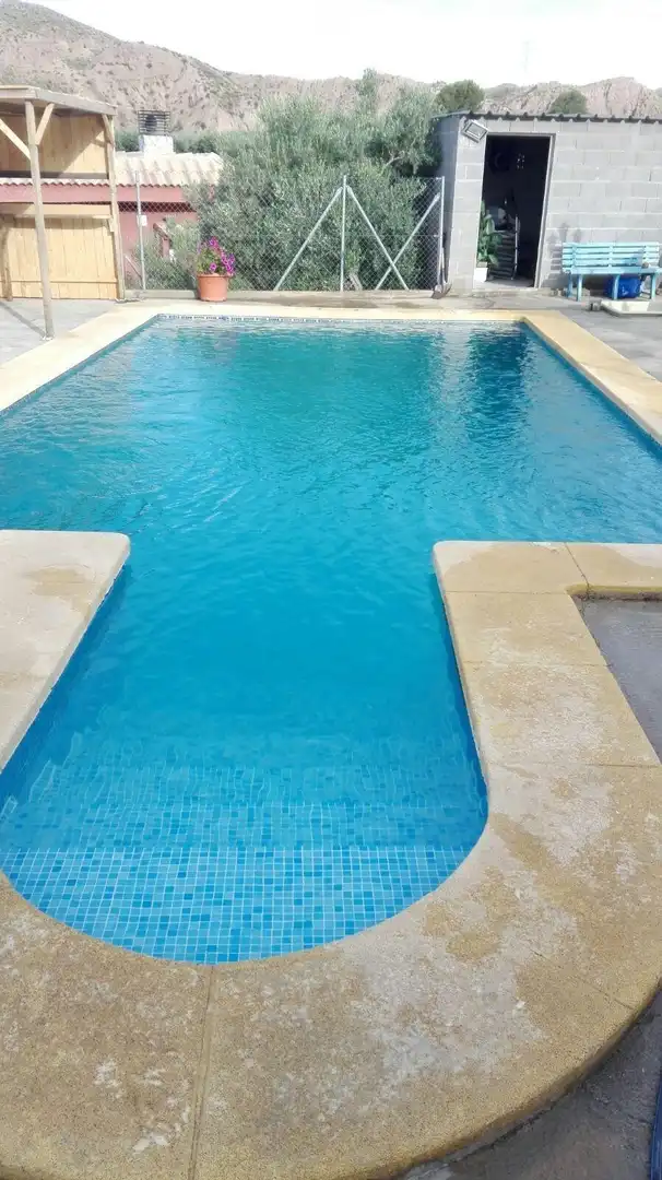 Swimming pool of Country homes for sale in Gádor  with Private garden, Terrace and Swimming Pool
