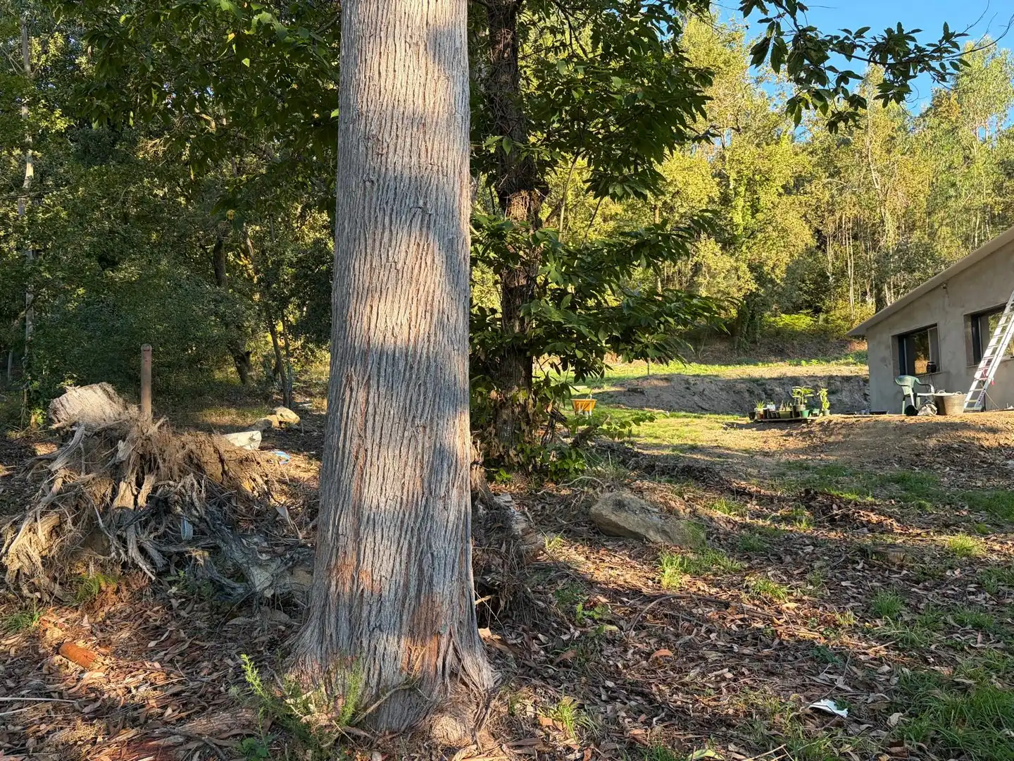 Villa con giardino in vendita a A Cañiza, imagen 15