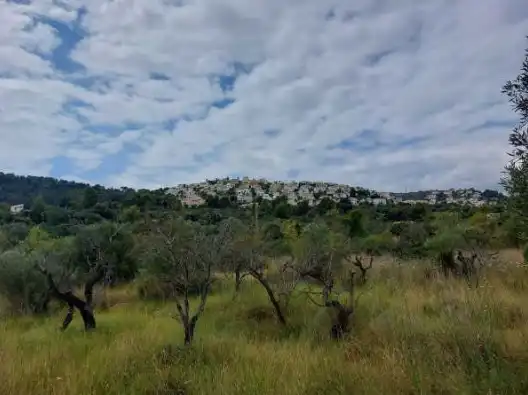 Exterior view of Land for sale in Orba