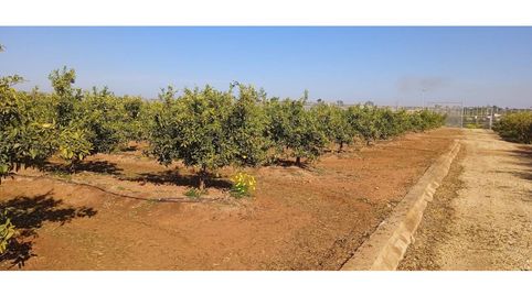 Foto 5 de Terreno en venta en Calle Polígono 37, 32, Picassent, Valencia