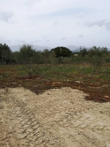 Finca rústica en Venta en Costitx