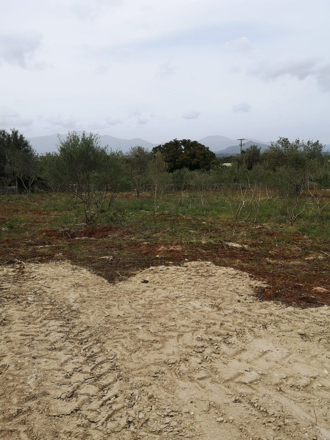 Finca rústica en venda en Costitx