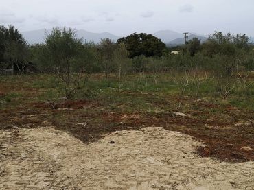 Terreny residencial en venda a Costitx
