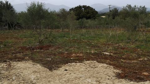 Pequeña rústica con vistas despejadas
