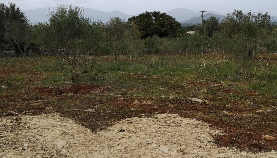 Photo 1 of Country house for sale in Costitx, Illes Balears