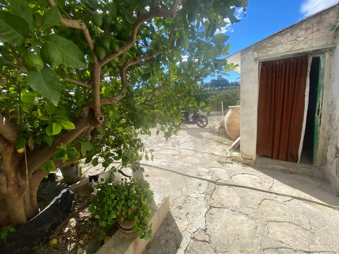 Casa en venda a Moratalla, imagen 66