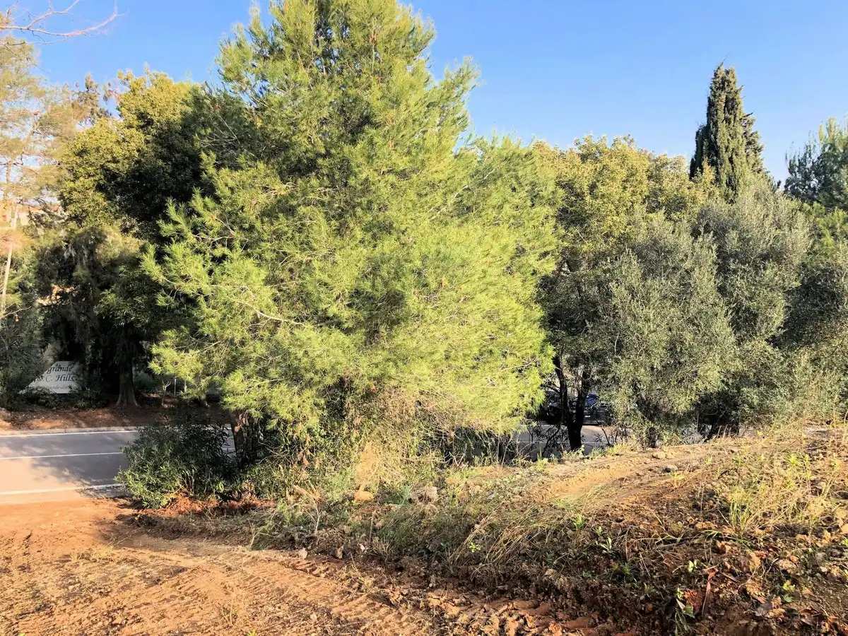 Terreni e lotti in vendita a Avenida los Cortijos 204, imagen 2