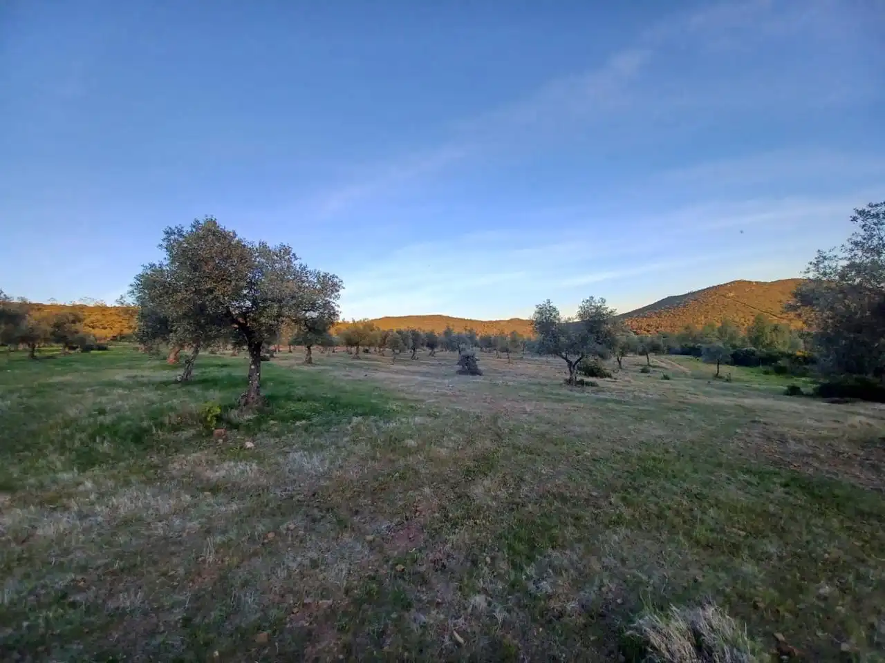 Grundstücke zum Verkauf in Peraleda del Zaucejo