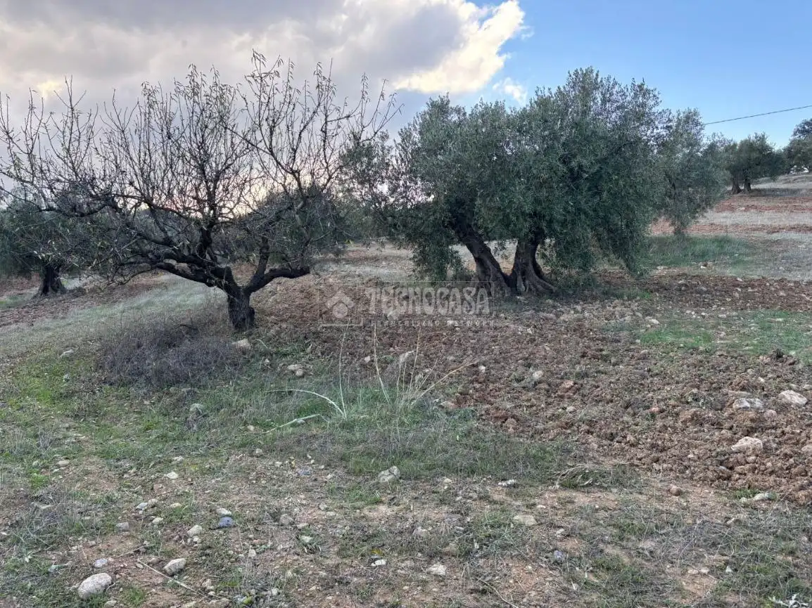 Terreni e lotti in vendita a Centro, imagen 6