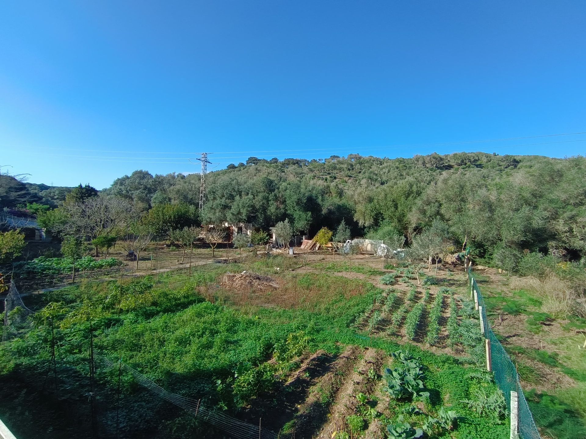 Land for sale in Maó