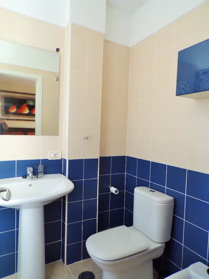Bathroom of Detached homes for sale in El Rosario  with Parquet flooring, Terrace and Furnished