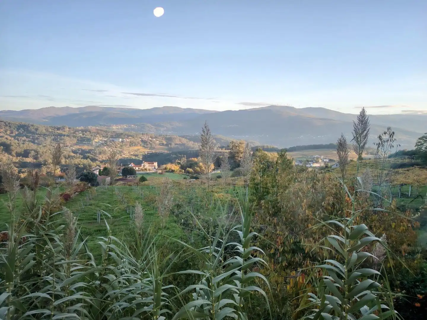 Casa o chalet en venta en Crecente