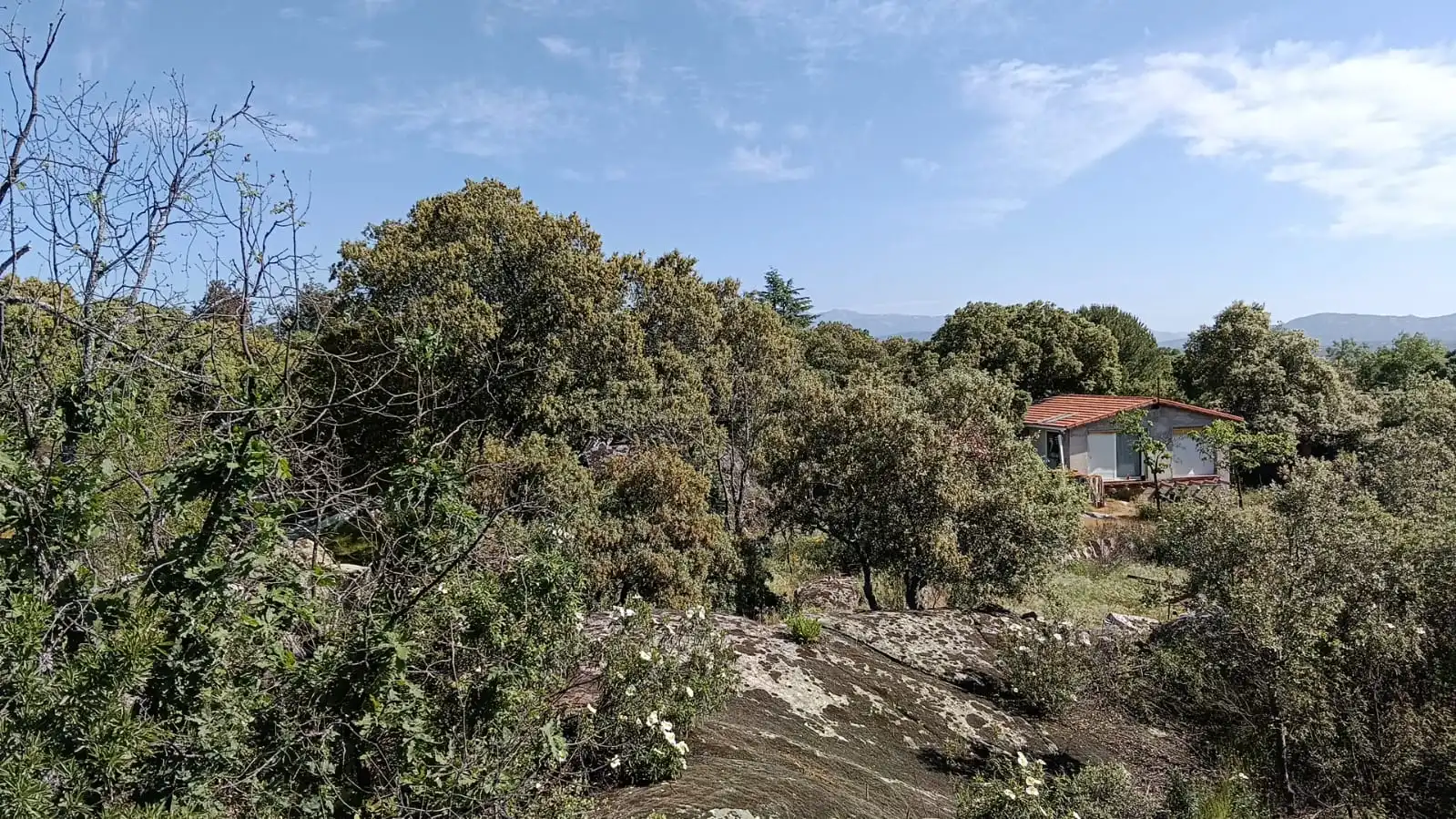 Casa o xalet en venda en Valdemorillo