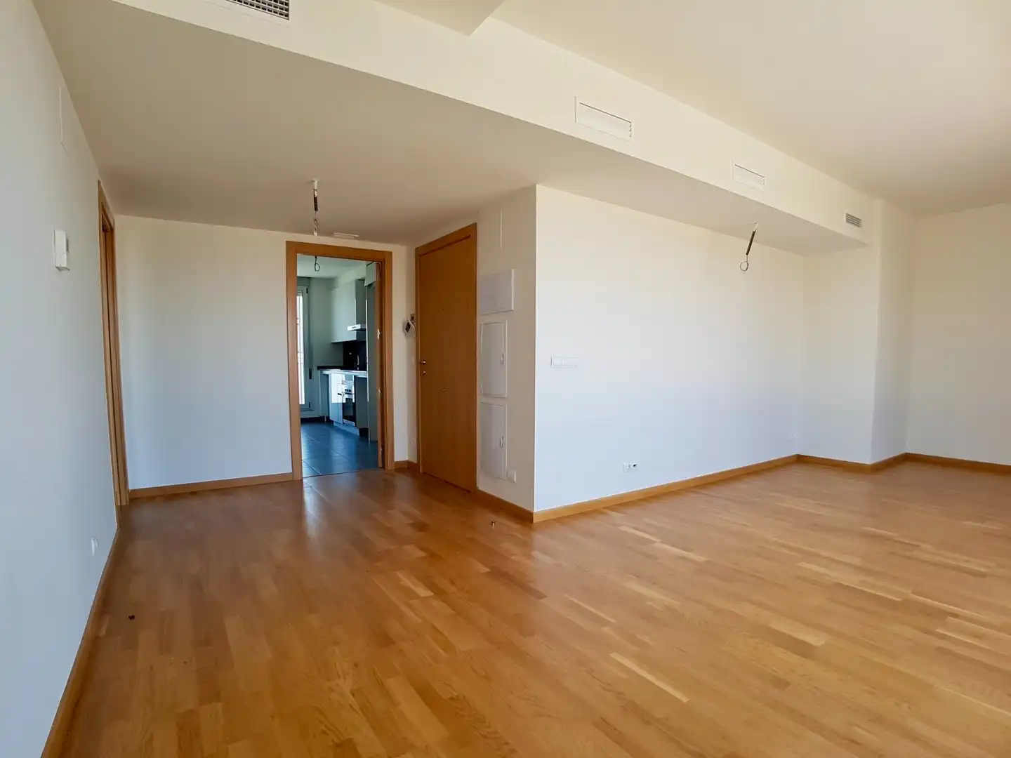 Sala d'estar de Àtic de lloguer en Sant Adrià de Besòs amb Aire condicionat, Calefacció i Parquet