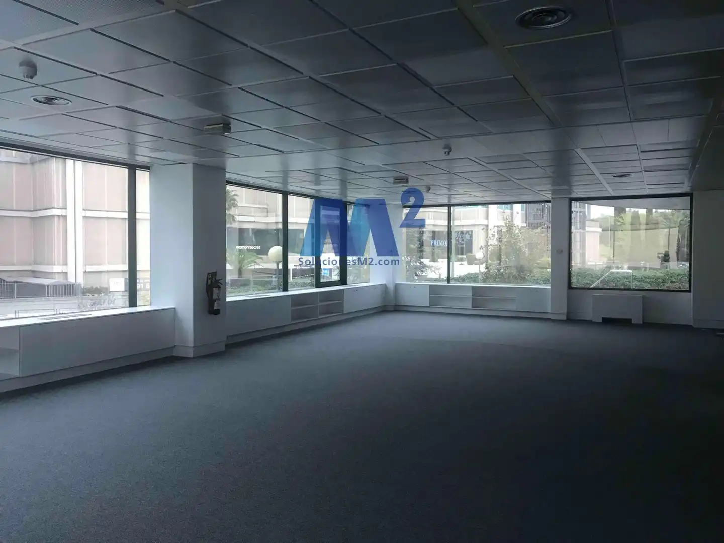 Office space to rent in Europa, imagen 23