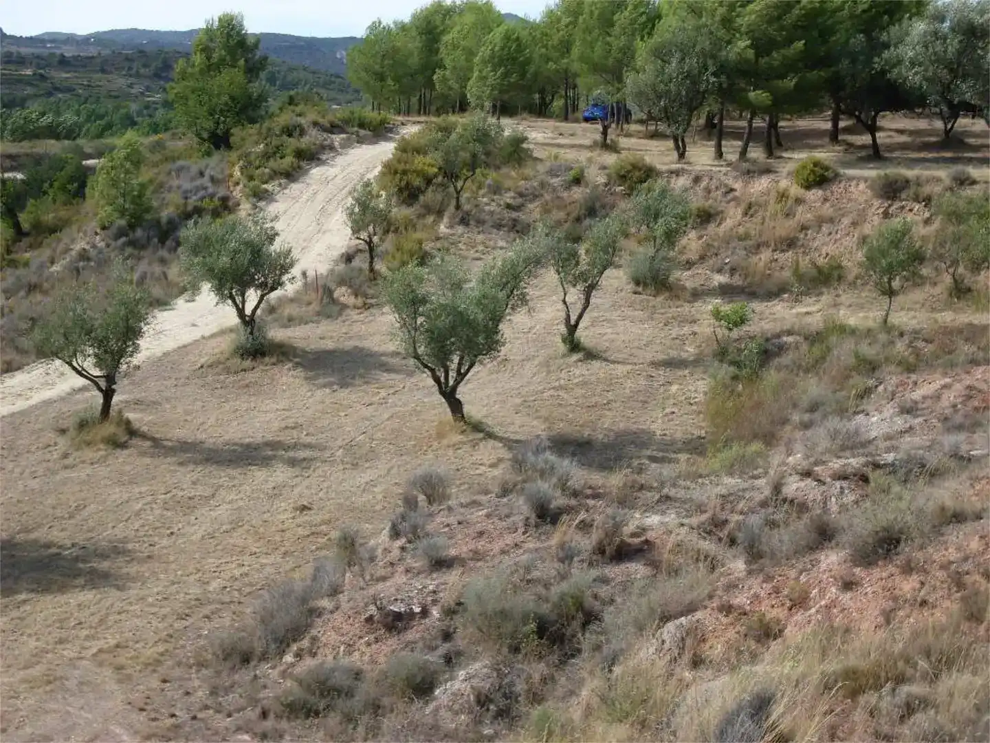 Terreno en venta en Alborache