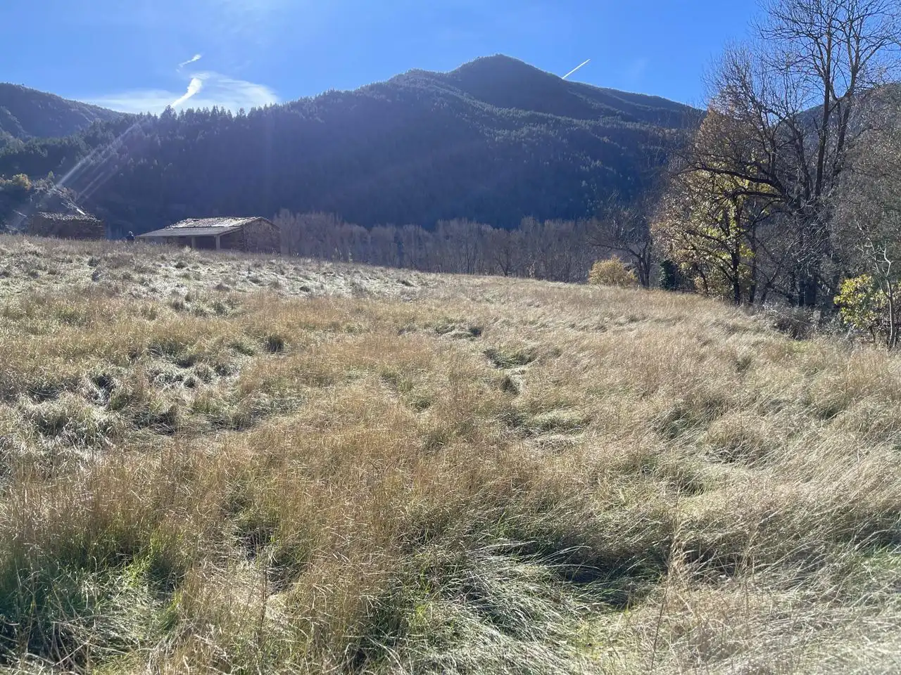Land for sale in El Pont de Bar